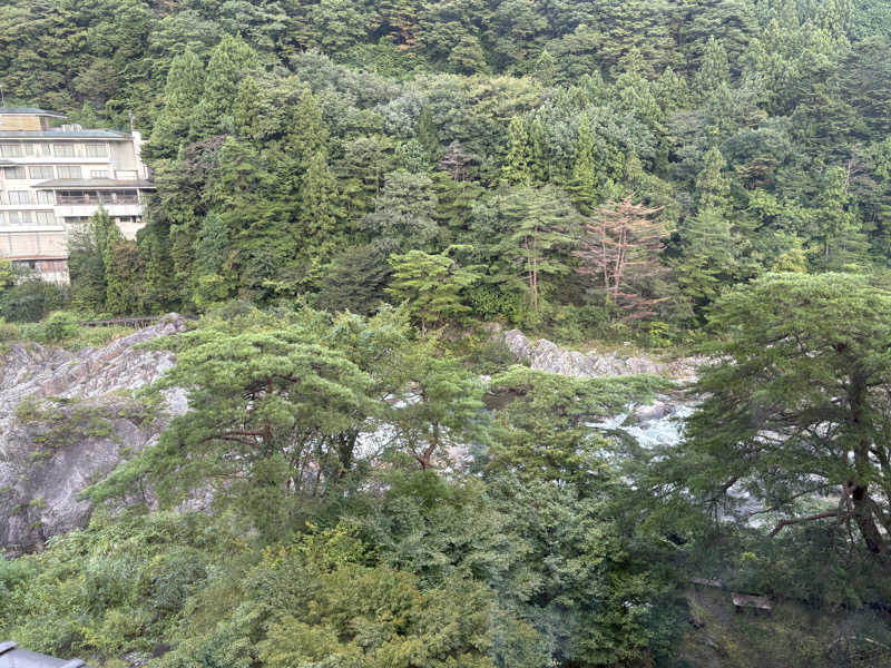 himakoさんの花の宿 松やのサ活写真