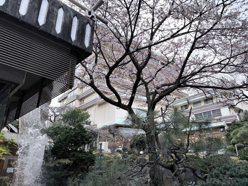 himakoさんの熱海金城館のサ活写真