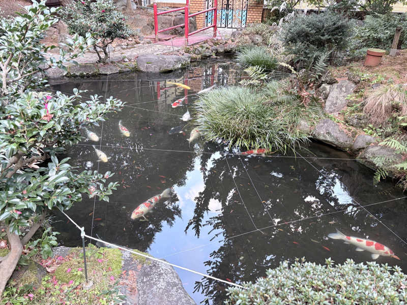 himakoさんの熱海金城館のサ活写真