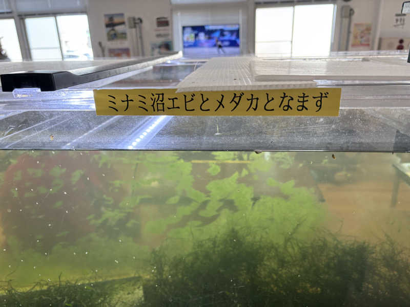 himakoさんのあさひ温泉のサ活写真