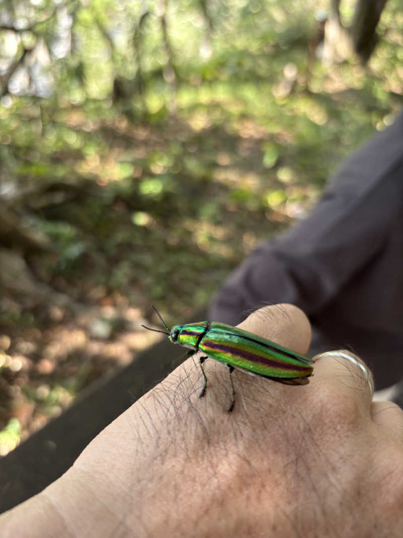 okoさんの大江戸温泉物語 土肥マリンホテルのサ活写真