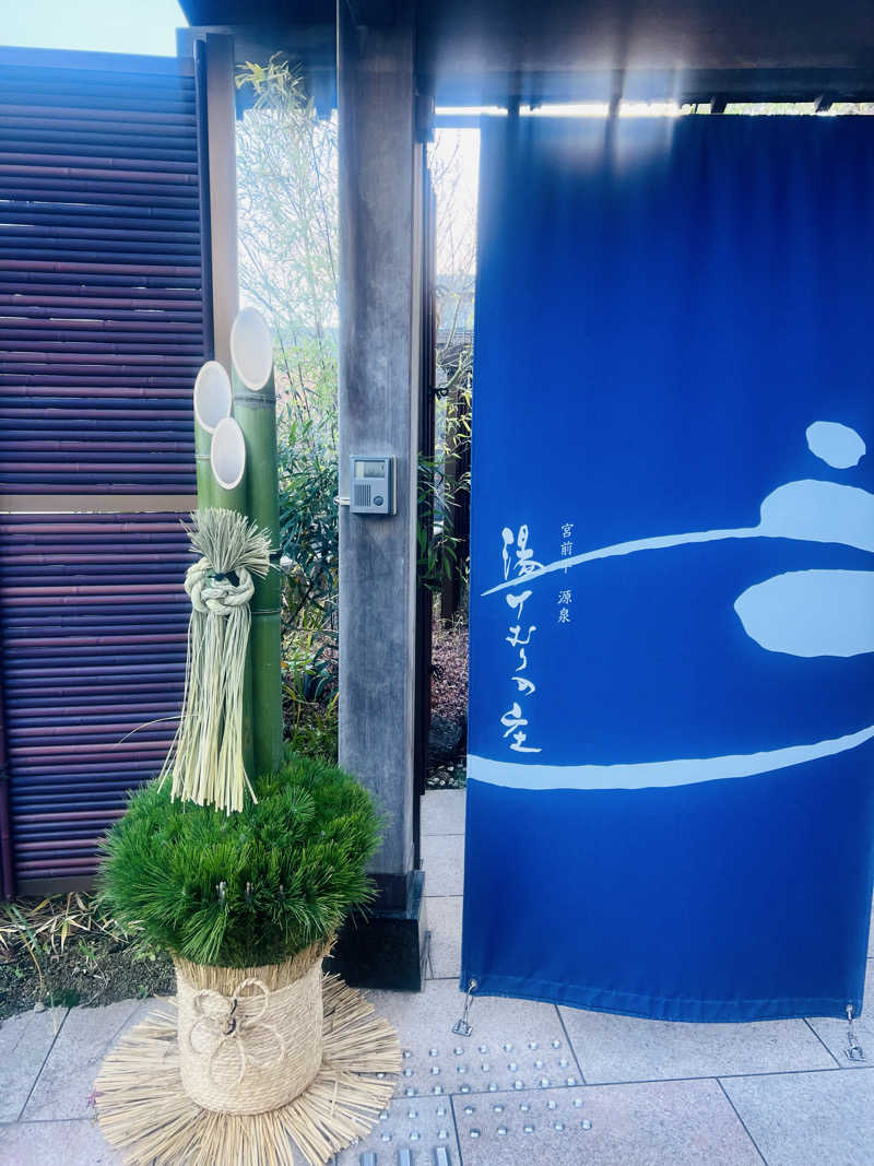 ntさんの宮前平源泉 湯けむりの庄のサ活写真