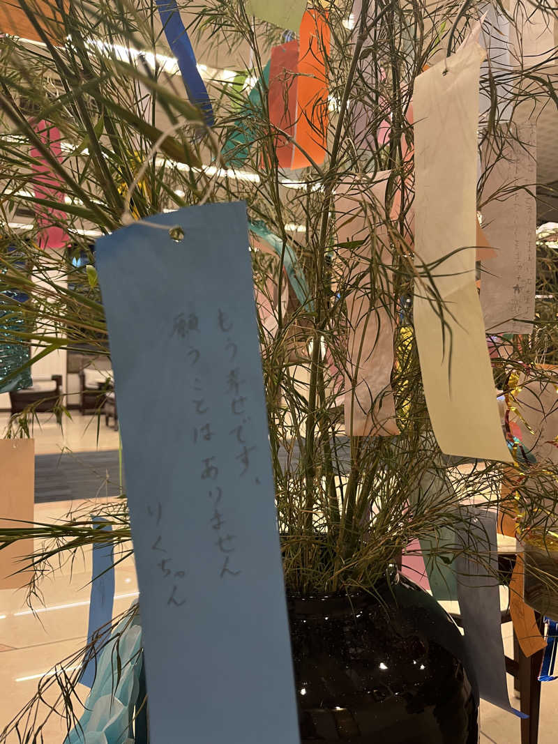 りくちゃんさんの海月館のサ活写真