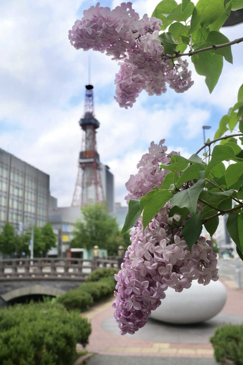 eriiitaさんの暖雪 札幌のサ活写真
