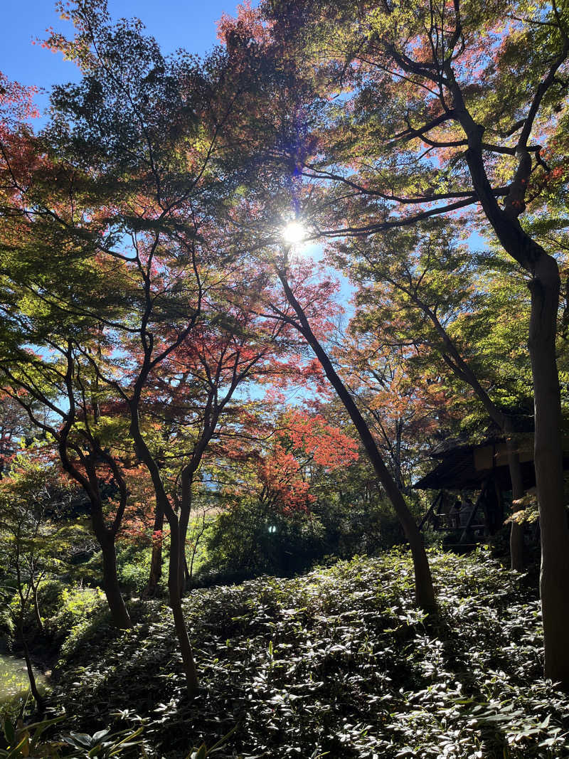 ロキソニンさんの東京染井温泉 SAKURAのサ活写真