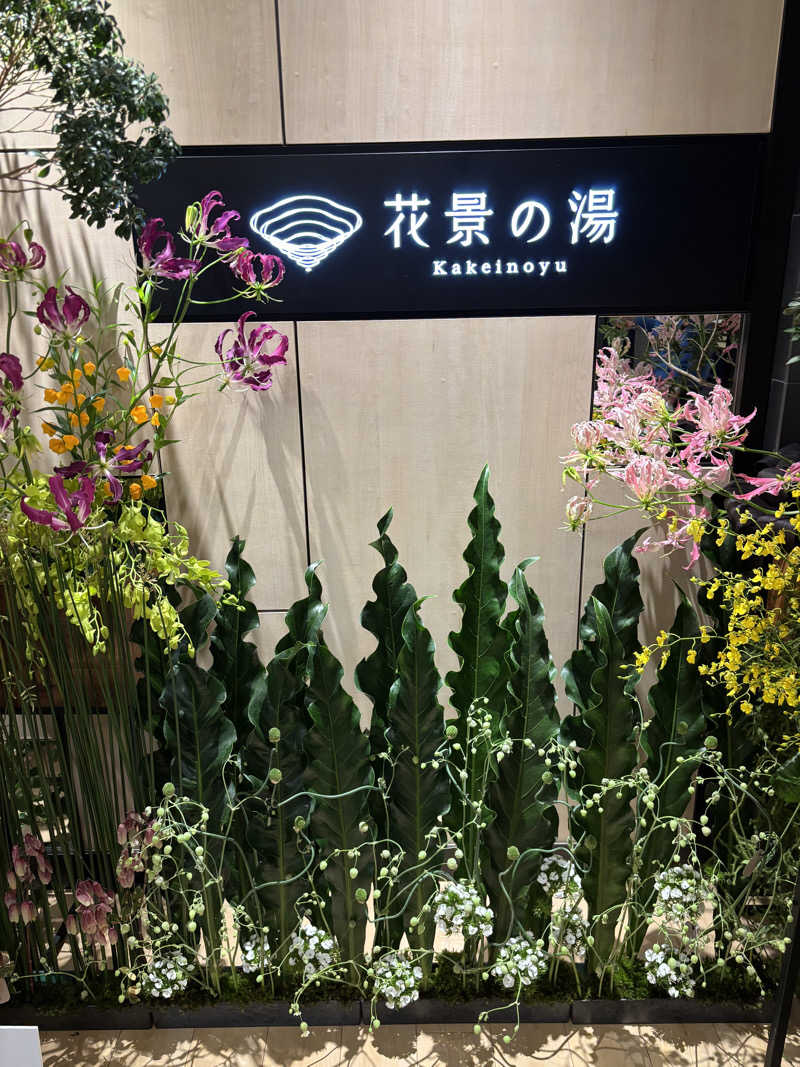 サウナ行きたがりさんのよみうりランド眺望温泉 花景の湯のサ活写真