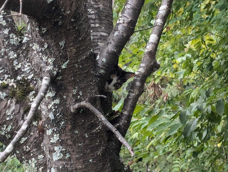 S.Sさんのくしはら温泉 ささゆりの湯のサ活写真