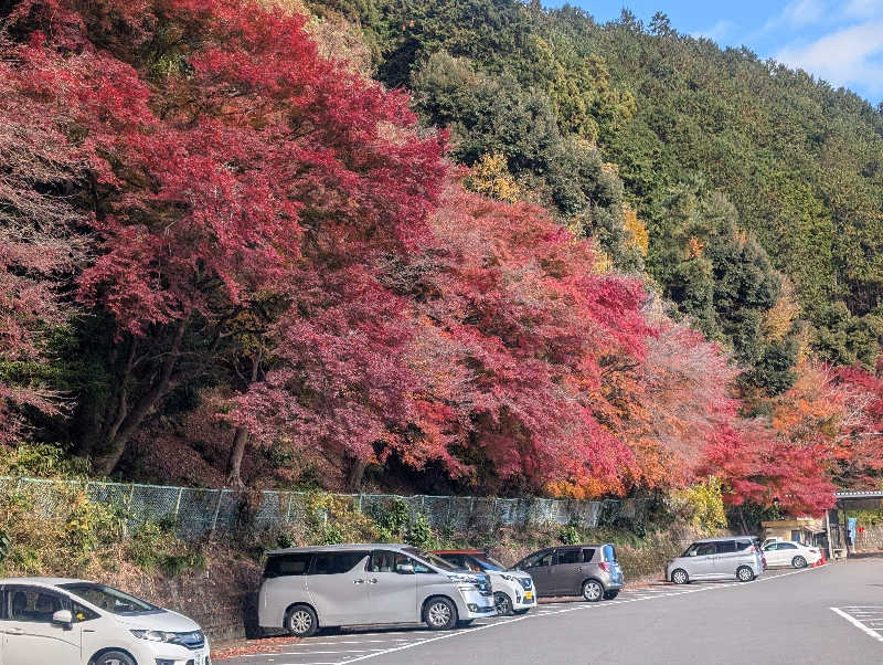 S.Sさんの養老温泉 ゆせんの里のサ活写真