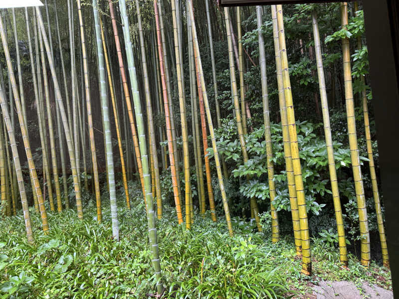Rickyさんの山水園 翠山の湯のサ活写真
