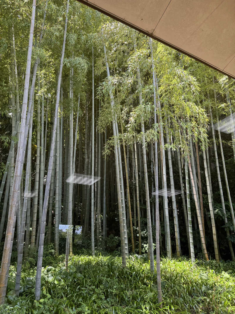 Rickyさんの山水園 翠山の湯のサ活写真