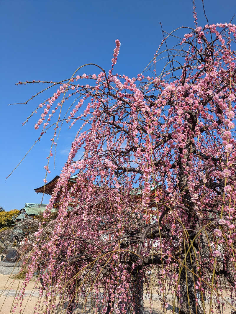 湯ーキャンスマイルさんの江泊温泉 和の湯(やわらぎのゆ)のサ活写真