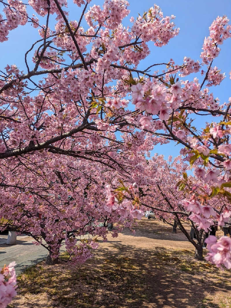 湯ーキャンスマイルさんの萩阿武川温泉 ふれあい会館のサ活写真