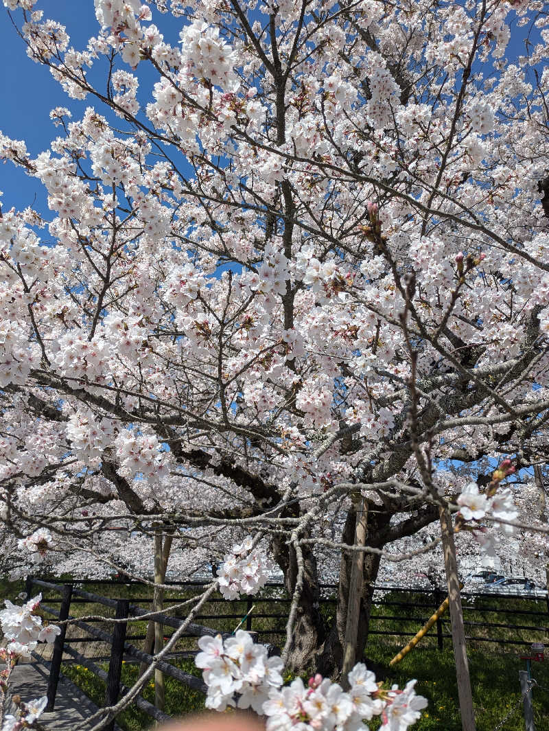 湯ーキャンスマイルさんの於福温泉(道の駅おふく)のサ活写真