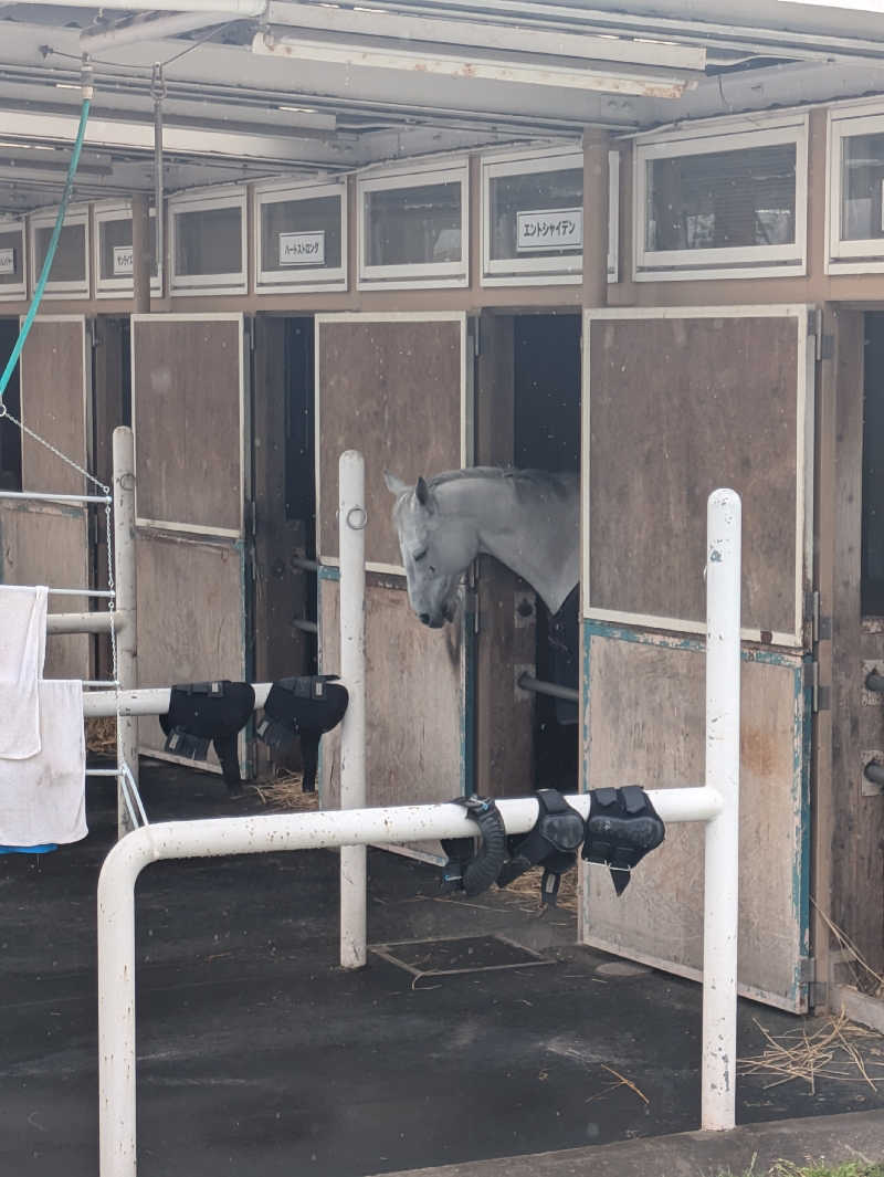 湯ーキャンスマイルさんのいずみの湯のサ活写真