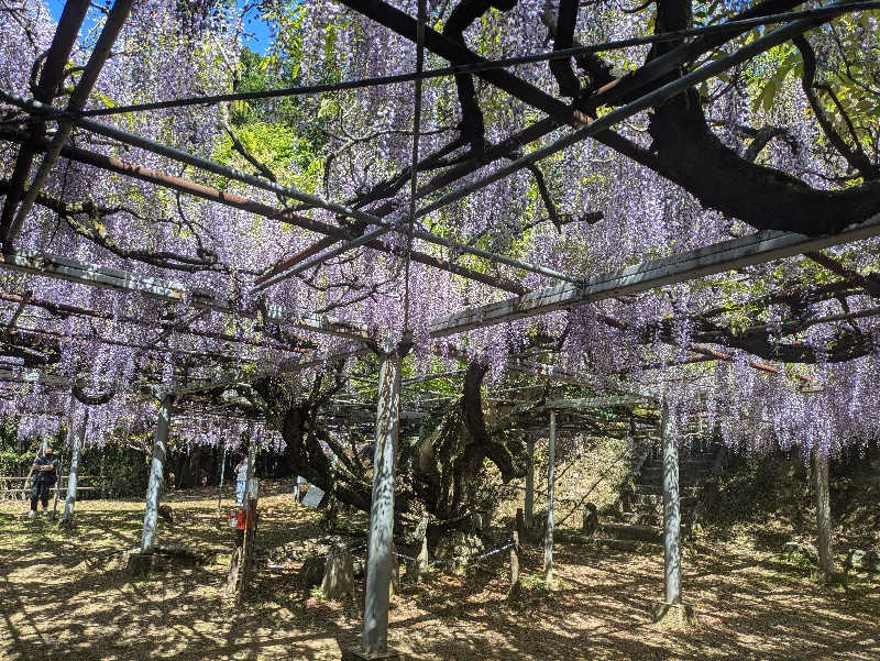 湯ーキャンスマイルさんの西ノ市温泉 蛍の湯(ホタルサウナ)のサ活写真