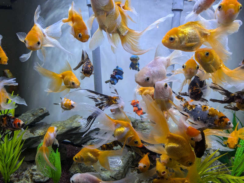 湯ーキャンスマイルさんのまるた屋温泉 西方の湯のサ活写真