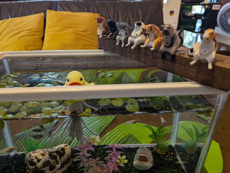 湯ーキャンスマイルさんのまるた屋温泉 西方の湯のサ活写真