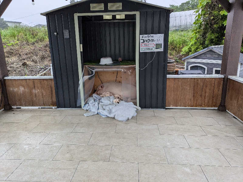 湯ーキャンスマイルさんのまるた屋温泉 西方の湯のサ活写真