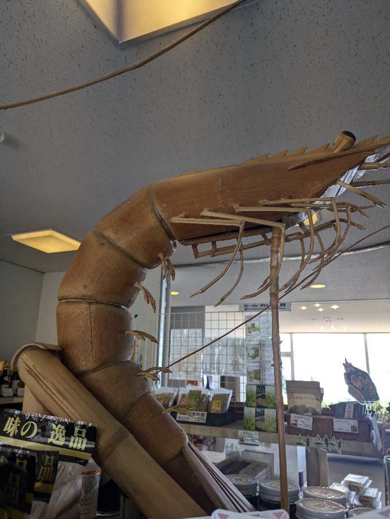 湯ーキャンスマイルさんの国民宿舎 海眺の宿 あいお荘のサ活写真