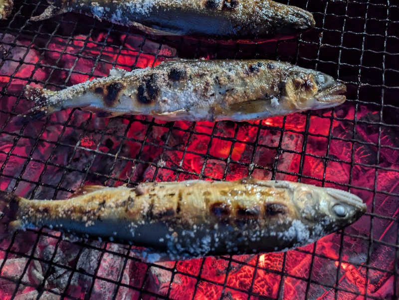 湯ーキャンスマイルさんの片倉温泉くぼたのサ活写真