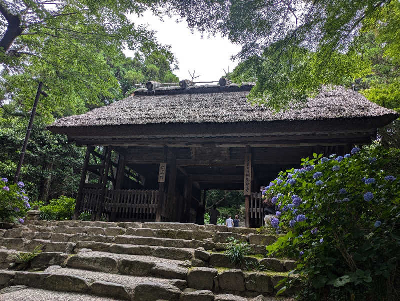 湯ーキャンスマイルさんのおんせんの森 (旧 温泉の森)のサ活写真