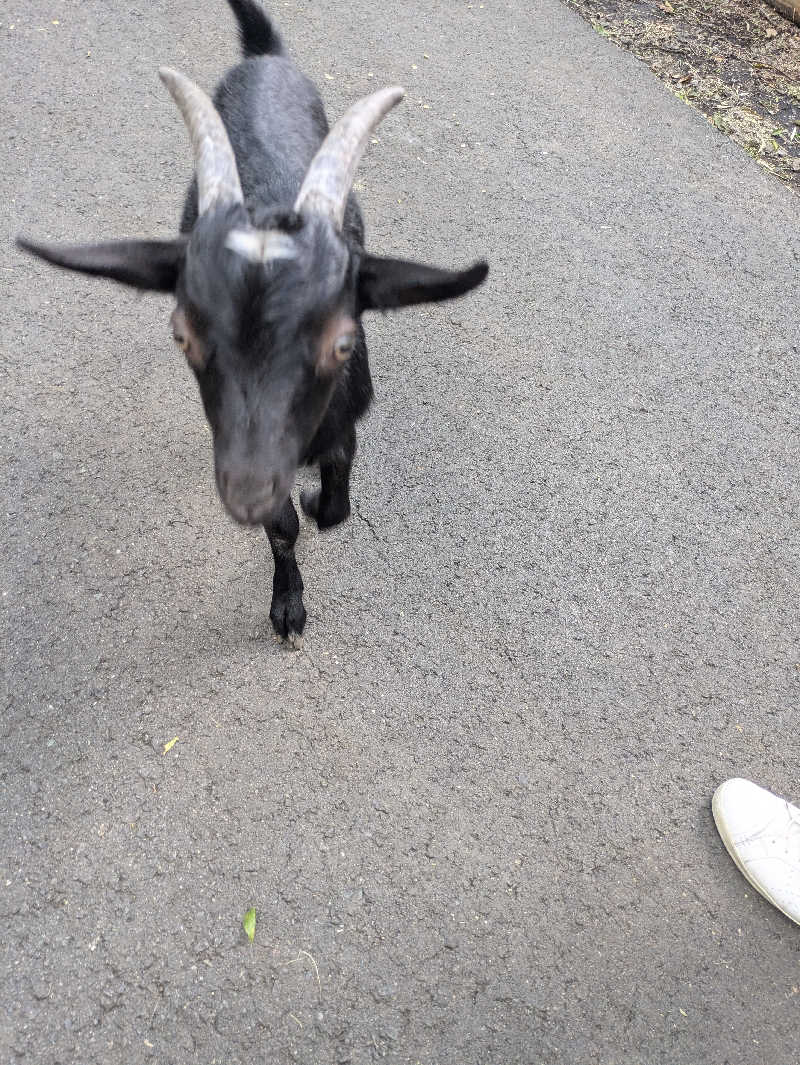 湯ーキャンスマイルさんのヌクヌクの湯のサ活写真