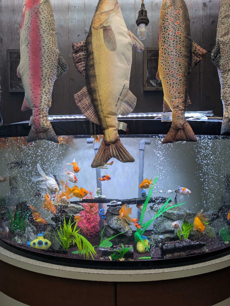 湯ーキャンスマイルさんのまるた屋温泉 西方の湯のサ活写真