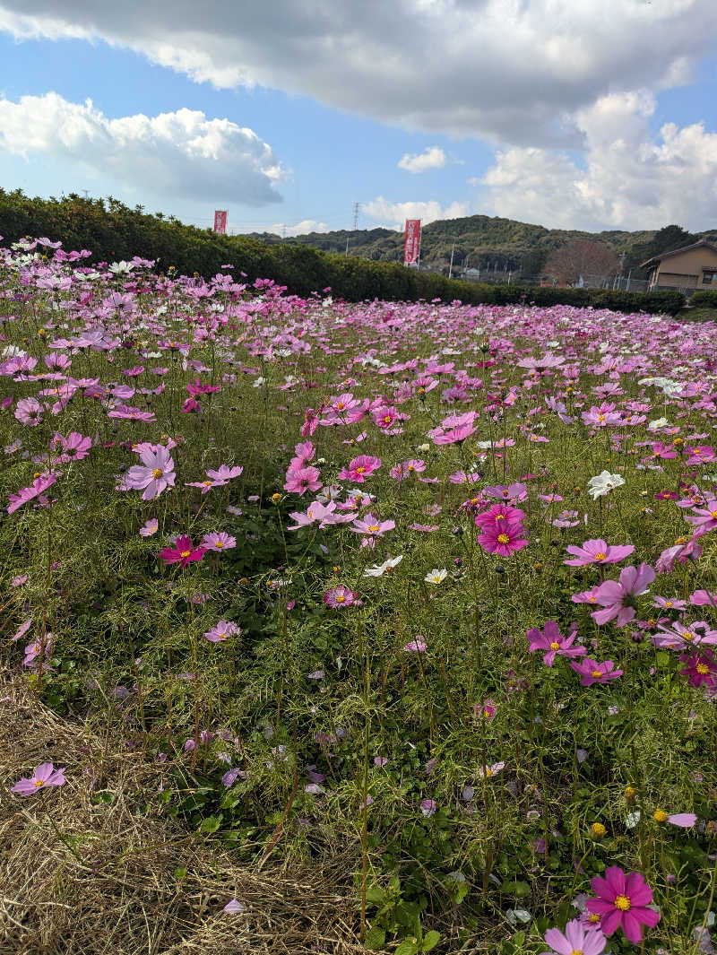 湯ーキャンスマイルさんの楠こもれびの郷 くすのき温泉 くすくすの湯のサ活写真