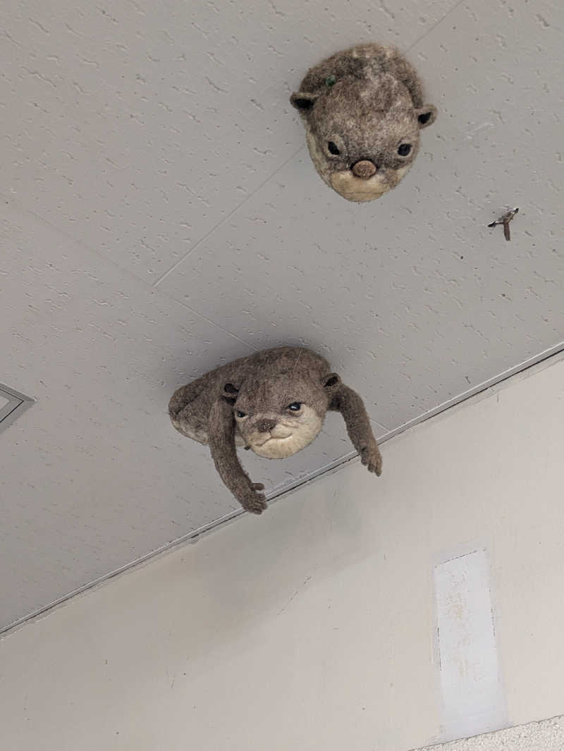 湯ーキャンスマイルさんの個室温泉 おふゆ (家族風呂)のサ活写真