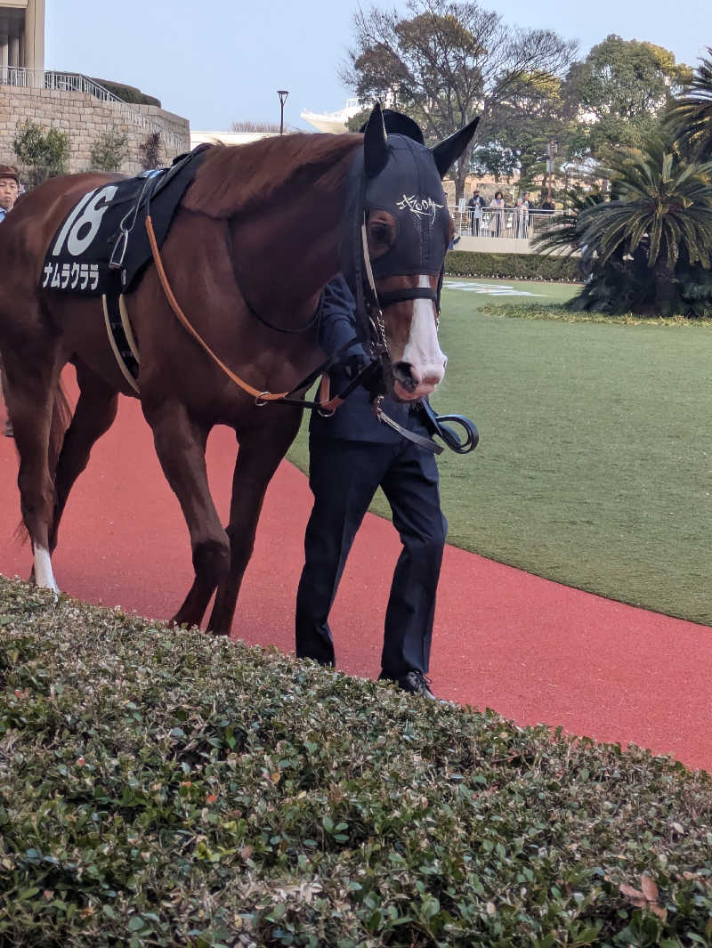 湯ーキャンスマイルさんの華の湯 片野店のサ活写真