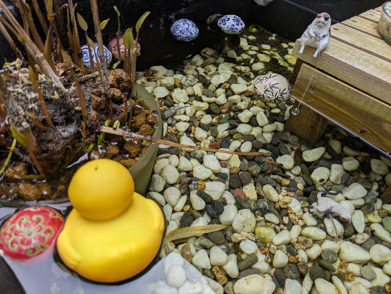 湯ーキャンスマイルさんの天然温泉 和楽の湯 下関せいりゅうのサ活写真