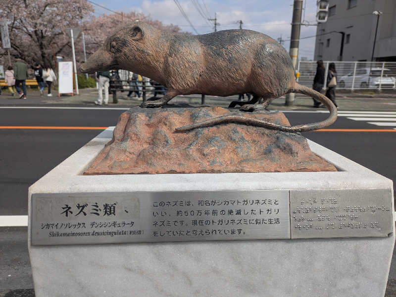 湯ーキャンスマイルさんの一の俣温泉グランドホテルのサ活写真