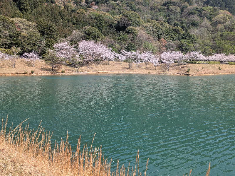湯ーキャンスマイルさんの一の俣温泉グランドホテルのサ活写真