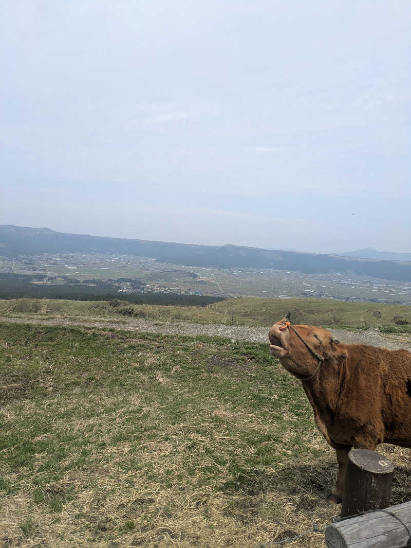 湯ーキャンスマイルさんの木の香湯のサ活写真