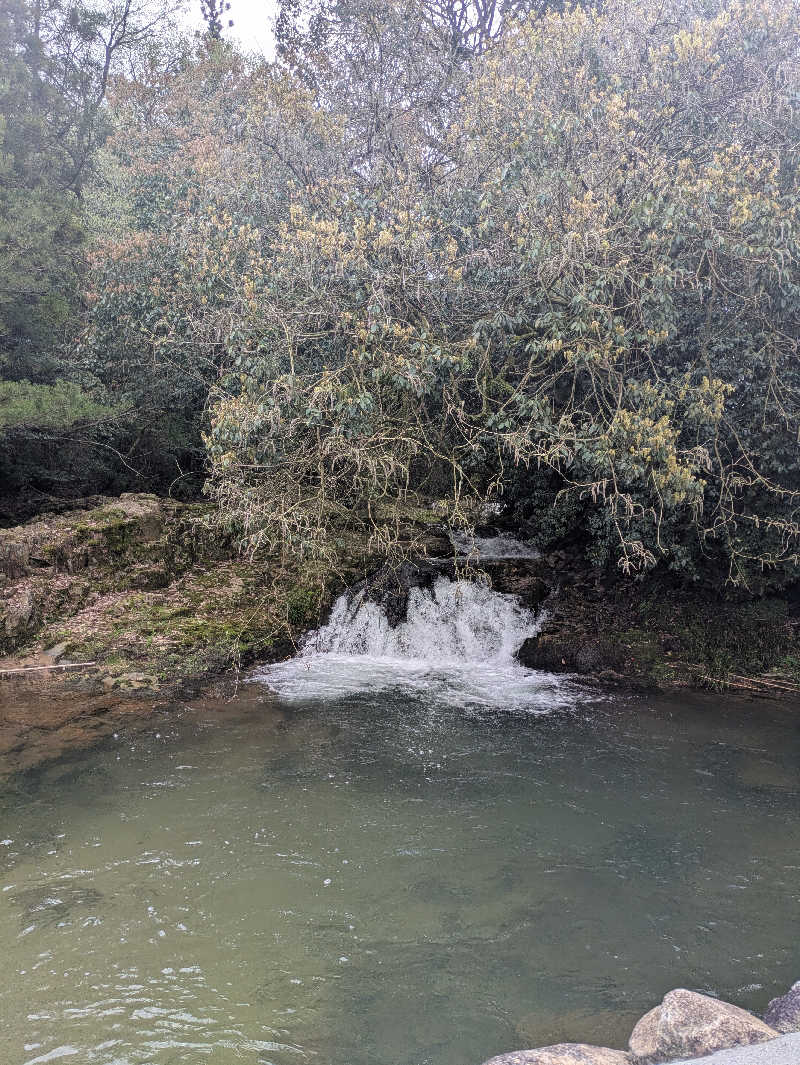 湯ーキャンスマイルさんのおんせんの森 (旧 温泉の森)のサ活写真