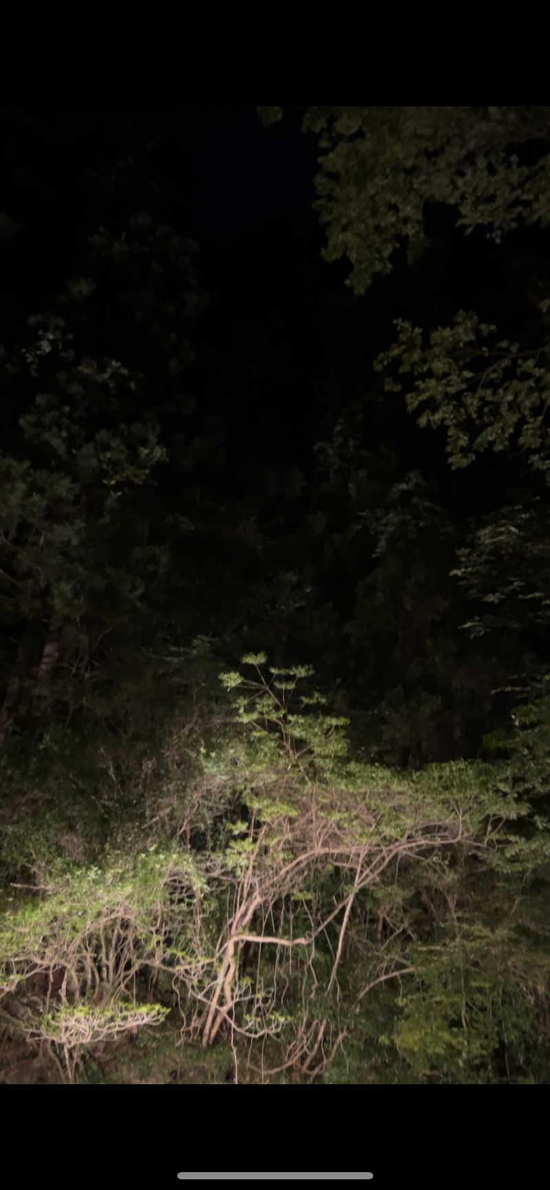 RKさんのThe Riverside Saunaのサ活写真