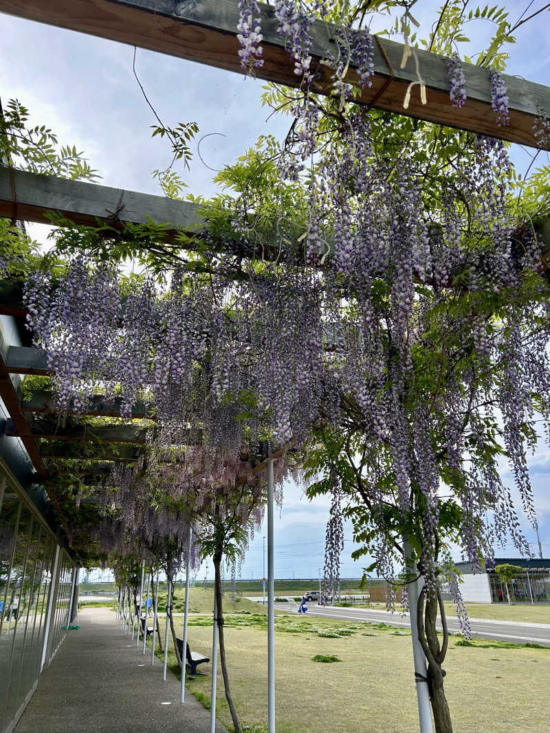 samtos♨️さんのアクアイグニス仙台 藤塚の湯のサ活写真