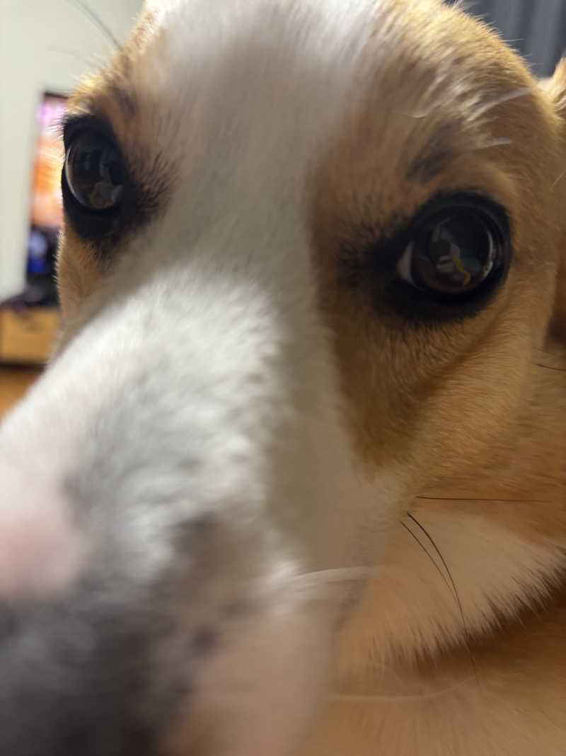 ナベさんの汗蒸幕のゆのサ活写真