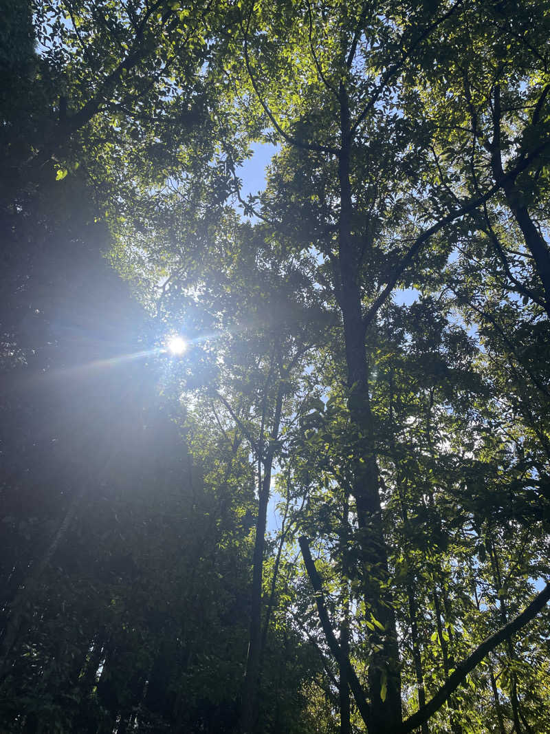 リックックさんのOND SAUNAのサ活写真