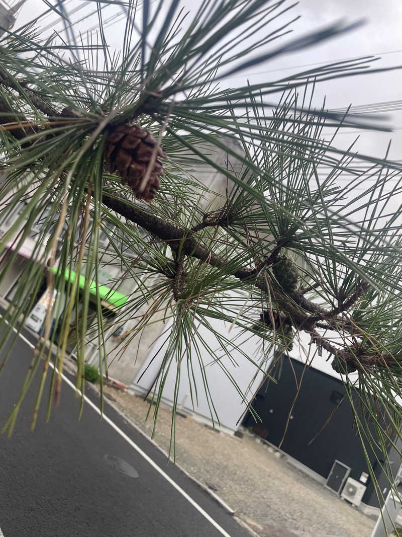 リックックさんの武雄温泉 大正浪漫の宿 京都屋のサ活写真