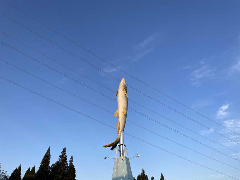 Nekomekkoさんの舟形若あゆ温泉清流センターのサ活写真