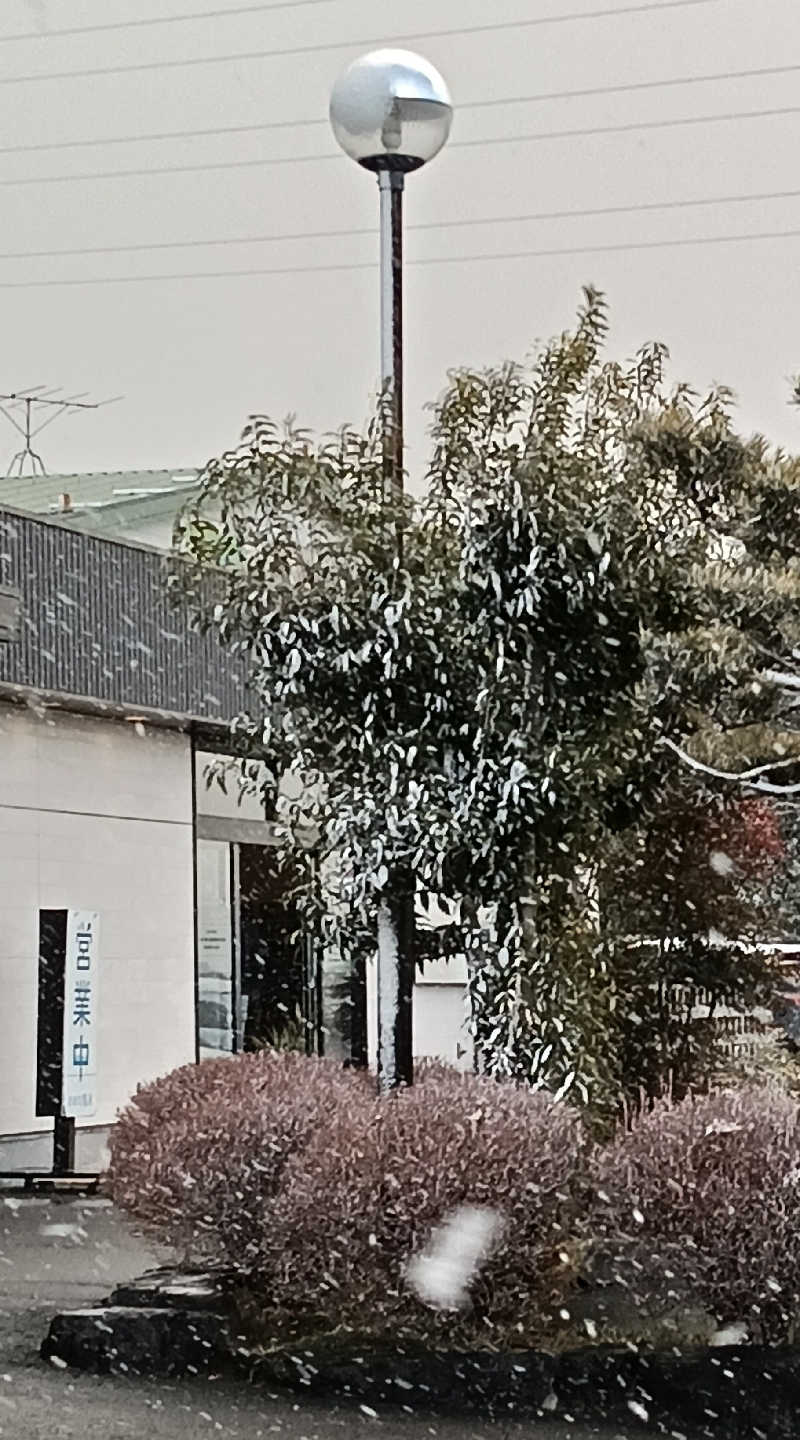 さおりさんのおおの温泉のサ活写真