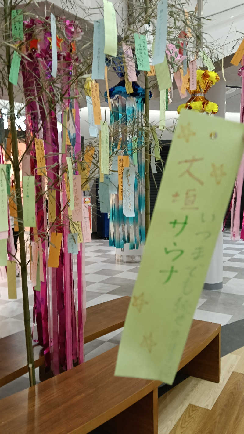さおりさんの天然温泉 大垣コロナの湯のサ活写真