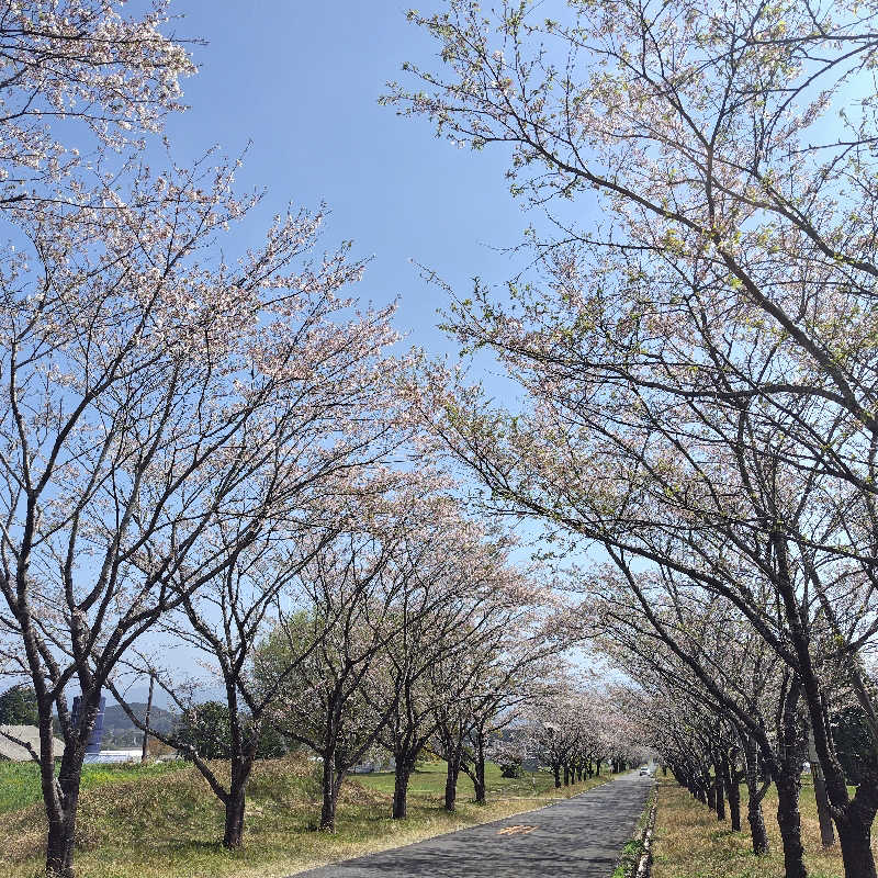SHIGE♨️さんのすきむらんど温泉 かじかの湯のサ活写真