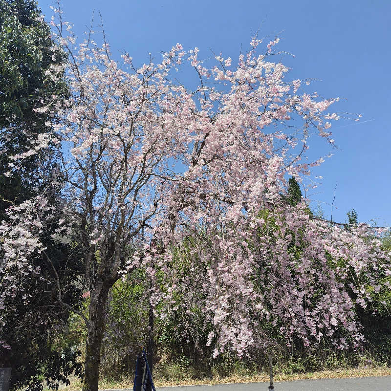 SHIGE♨️さんのすきむらんど温泉 かじかの湯のサ活写真