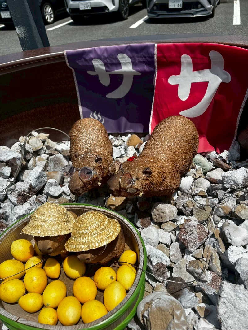 940さんの富士山天然水SPA サウナ鷹の湯のサ活写真