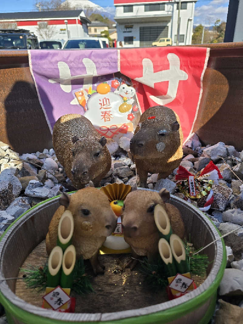 940さんの富士山天然水SPA サウナ鷹の湯のサ活写真