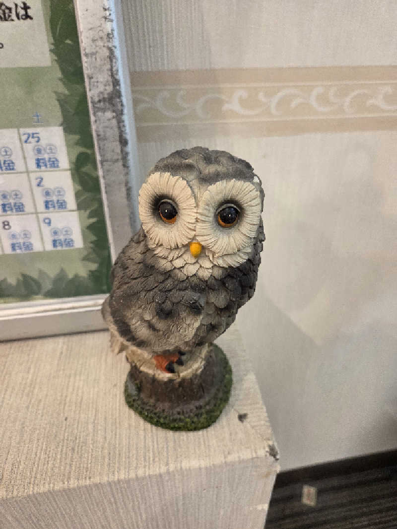 ニャーさんのサウナ&カプセルホテル レインボー新小岩店のサ活写真