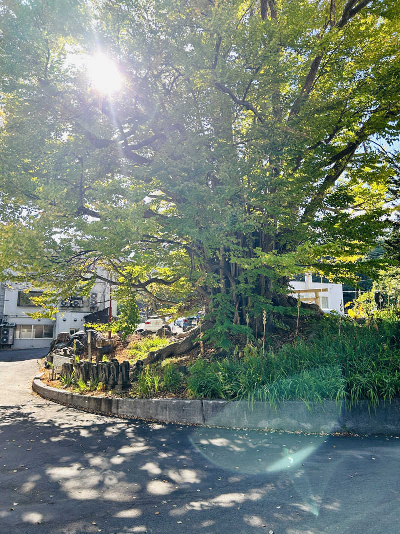 なべさんの小金湯温泉 湯元 小金湯のサ活写真