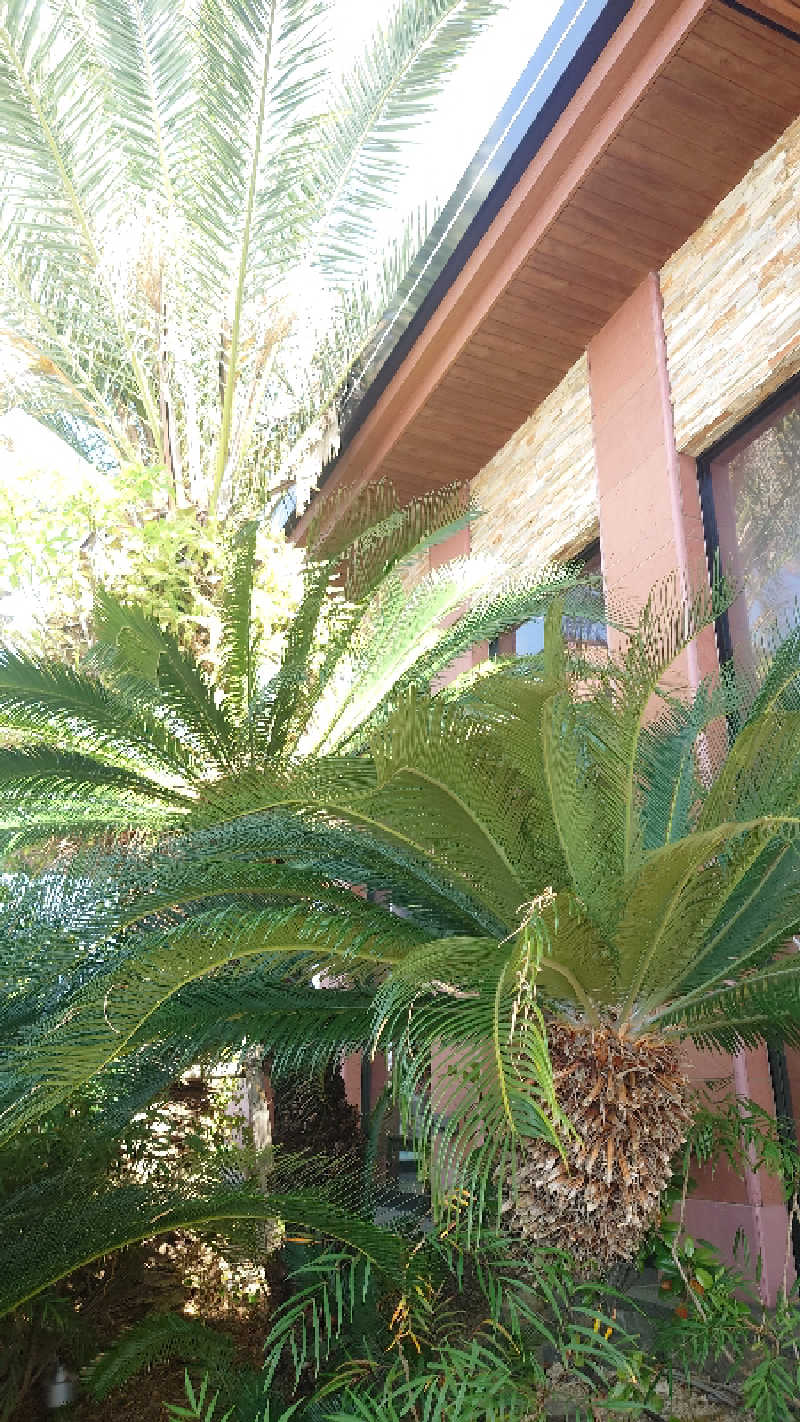 オタリーさんの名東温泉 花しょうぶのサ活写真